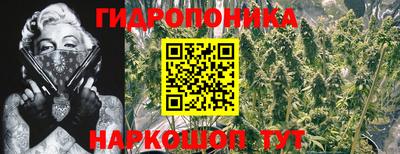 кокс Севастополь